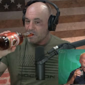 Peter Schiff on The Joe Rogan Experience